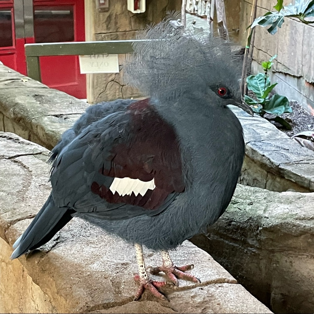 Meet your Posher, Shauna